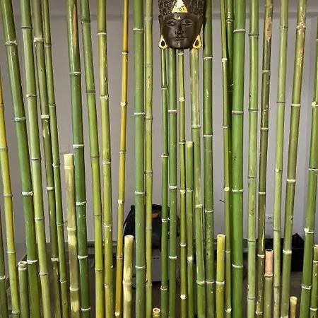 Studio De Nini Rousson (Gard)